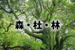 「森」「杜」「林」の違い