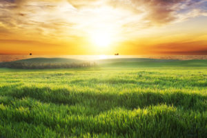 「日暮れ」「夕暮れ」の意味と違い