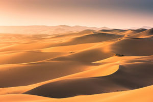 「砂丘」「砂漠」の意味と違い