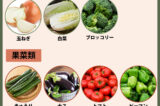指定野菜とは？全15品目の指定野菜一覧と特定野菜との違い